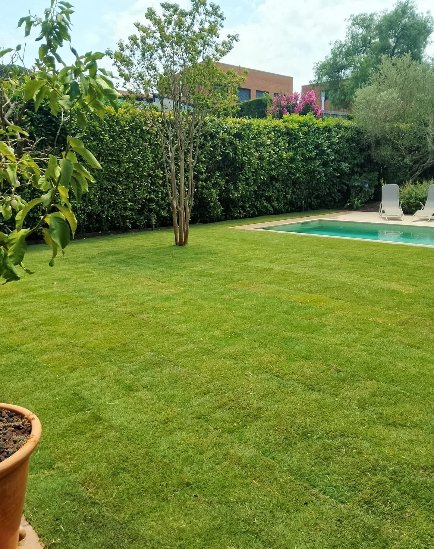 Poda y jardinería general
