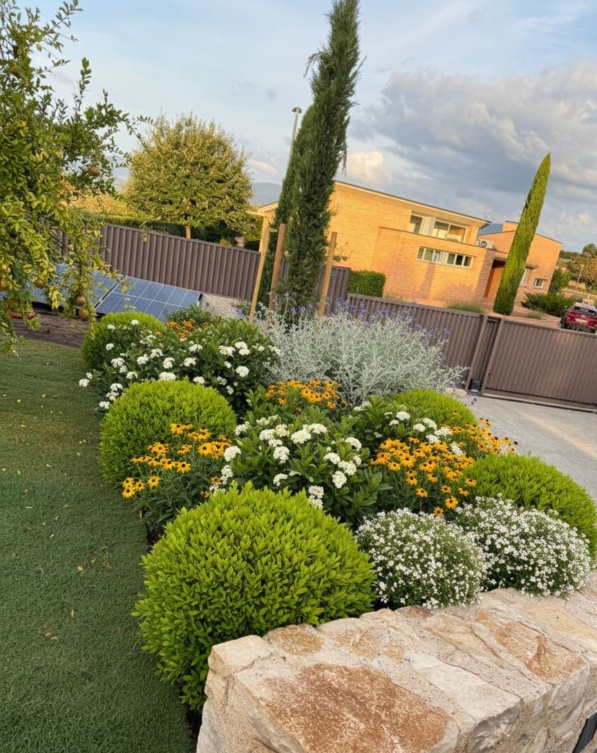 Macizo de flores amarillas y blancas con boj